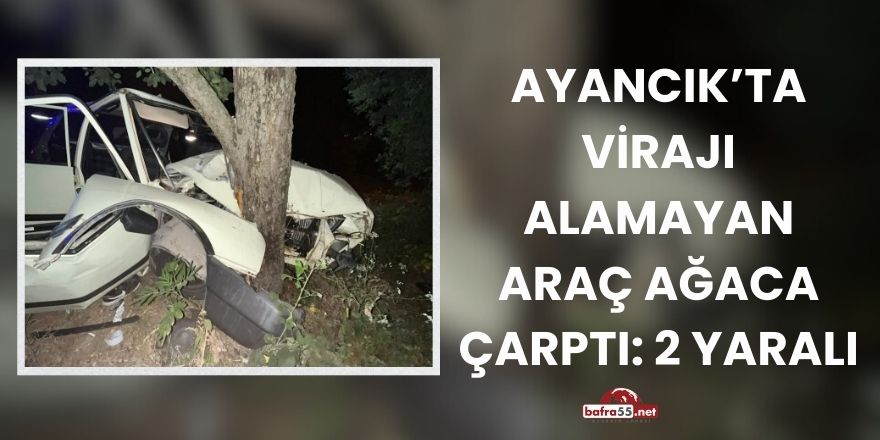 Ayancık’ta Virajı Alamayan Araç Ağaca Çarptı: 2 Yaralı