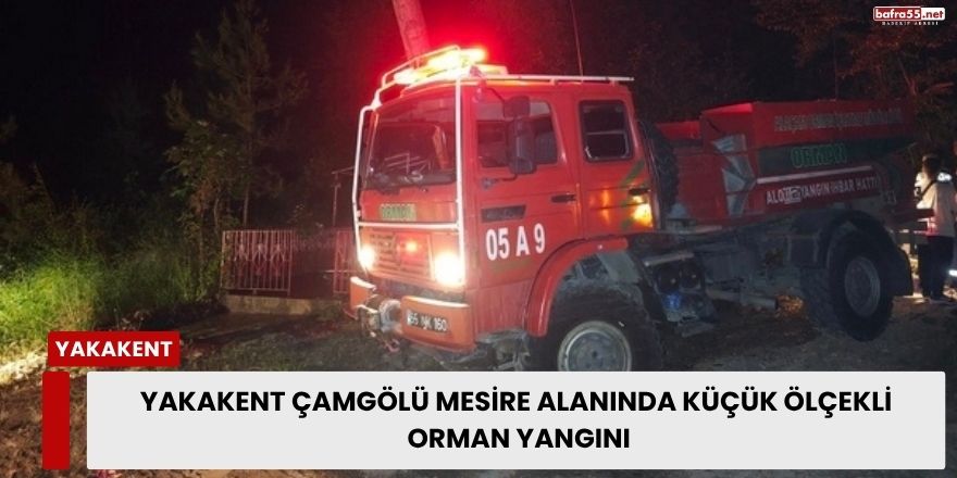 Yakakent Çamgölü Mesire Alanında Küçük Ölçekli Orman Yangını