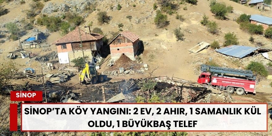 Sinop’ta Köy Yangını: 2 Ev, 2 Ahır, 1 Samanlık Kül Oldu, 1 Büyükbaş Telef