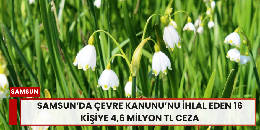 Samsun’da Çevre Kanunu’nu İhlal Eden 16 Kişiye 4,6 Milyon TL Ceza