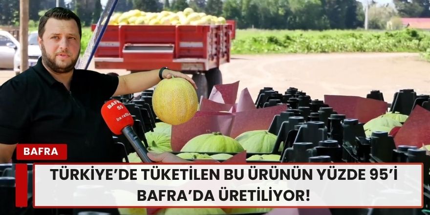“Türkiye’de tüketilen bu ürünün yüzde 95’i Bafra’da üretiliyor!