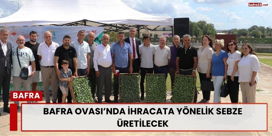 Bafra Ovası’nda İhracata Yönelik Sebze Üretilecek