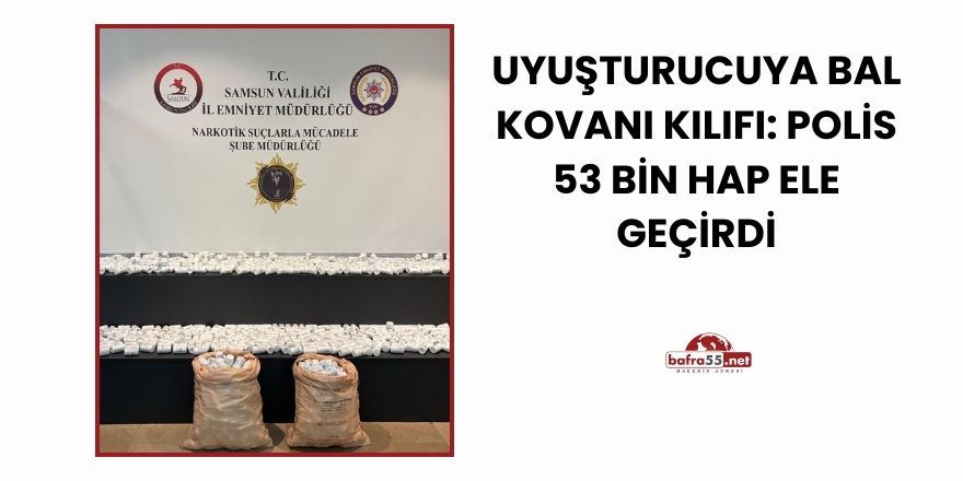 Uyuşturucuya Bal Kovanı Kılıfı: Polis 53 Bin Hap Ele Geçirdi