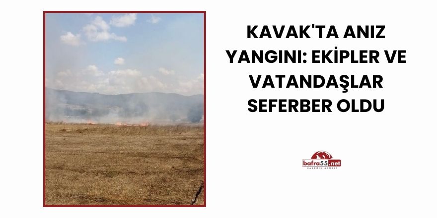 Kavak'ta Anız Yangını: Ekipler ve Vatandaşlar Seferber Oldu