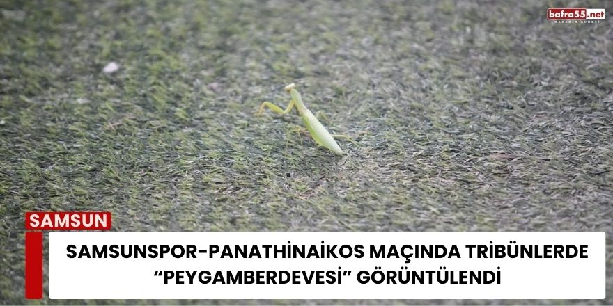 Samsunspor-Panathinaikos Maçında Tribünlerde “Peygamberdevesi” Görüntülendi