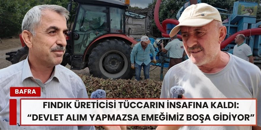 Fındık üreticisi tüccarın insafına kaldı: “Devlet alım yapmazsa emeğimiz boşa gidiyor”