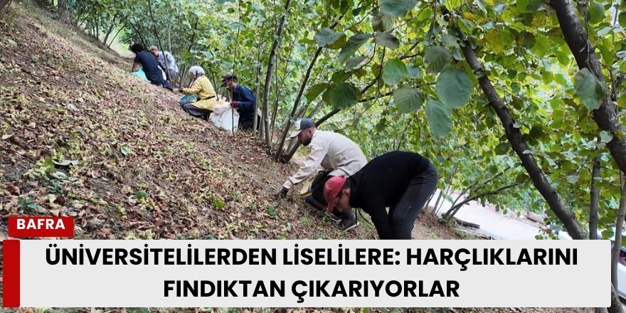 Üniversitelilerden Liselilere: Harçlıklarını Fındıktan Çıkarıyorlar