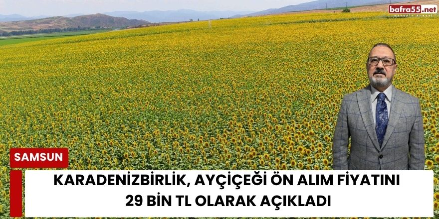 KARADENİZBİRLİK, Ayçiçeği Ön Alım Fiyatını 29 Bin TL Olarak Açıkladı