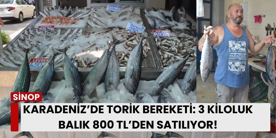 Bafra’da Jandarmadan Uyuşturucu Operasyonu: 2 Kişi Gözaltında