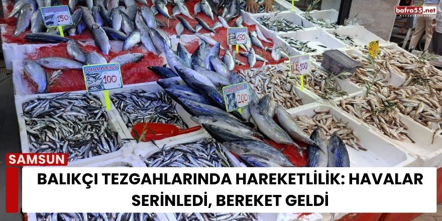 Balıkçı Tezgahlarında Hareketlilik: Havalar Serinledi, Bereket Geldi