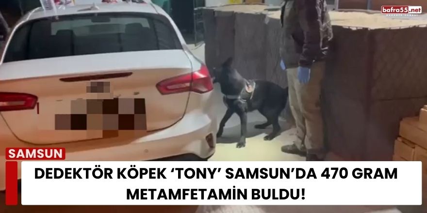 Dedektör Köpek ‘Tony’ Samsun’da 470 Gram Metamfetamin Buldu!