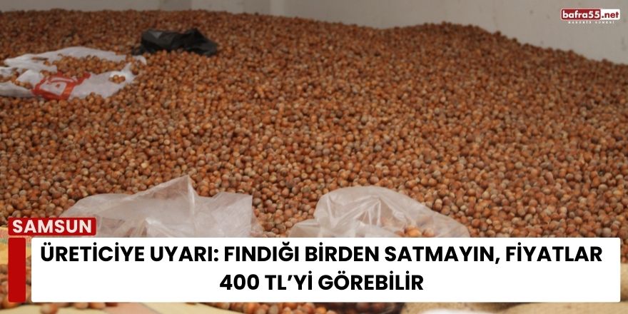 Üreticiye Uyarı: Fındığı Birden Satmayın, Fiyatlar 400 TL’yi Görebilir