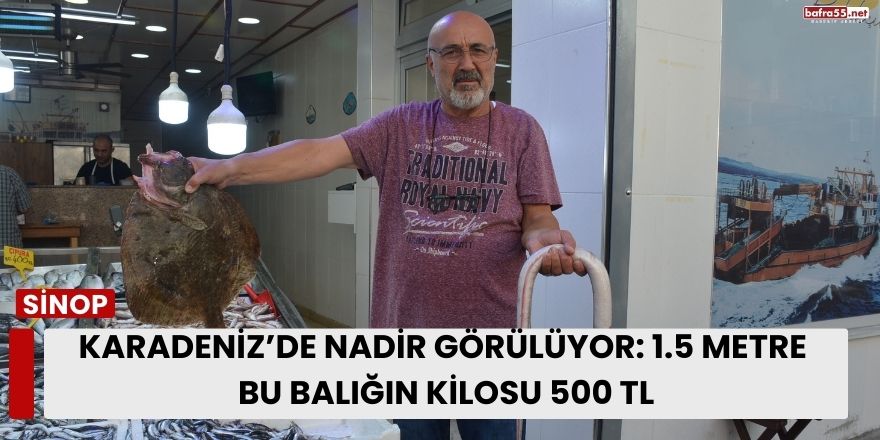 Sinop’ta Tezgaha Çıkan 1,5 Metrelik Yılan Balığı Görenleri Şaşırttı