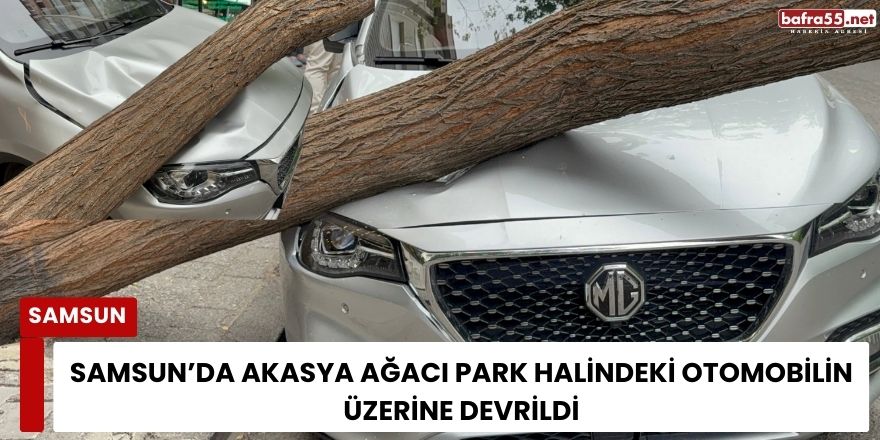 Samsun’da Akasya Ağacı Park Halindeki Otomobilin Üzerine Devrildi