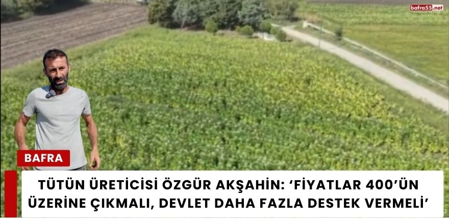 Tütün Üreticisi Özgür Akşahin: ‘Fiyatlar 400’ün Üzerine Çıkmalı, Devlet Daha Fazla Destek Vermeli’”