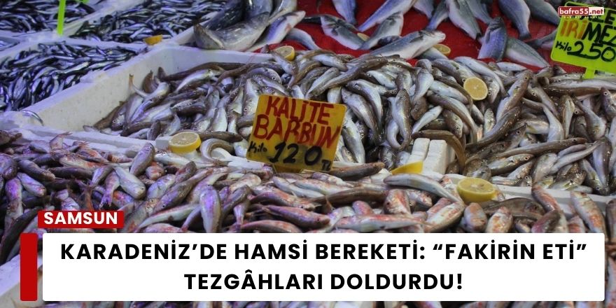 Karadeniz’de Hamsi Bereketi: “Fakirin Eti” Tezgâhları Doldurdu