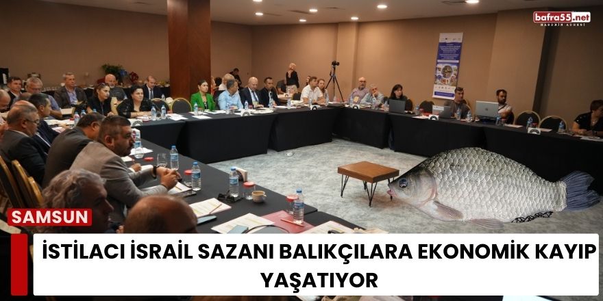 İstilacı İsrail Sazanı Balıkçılara Ekonomik Kayıp Yaşatıyor