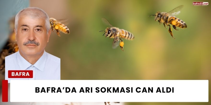 Bafra’da Arı Sokması Can Aldı