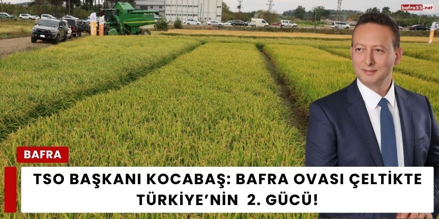 TSO Başkanı Kocabaş: Bafra Ovası Çeltikte Türkiye’nin  2. Gücü!