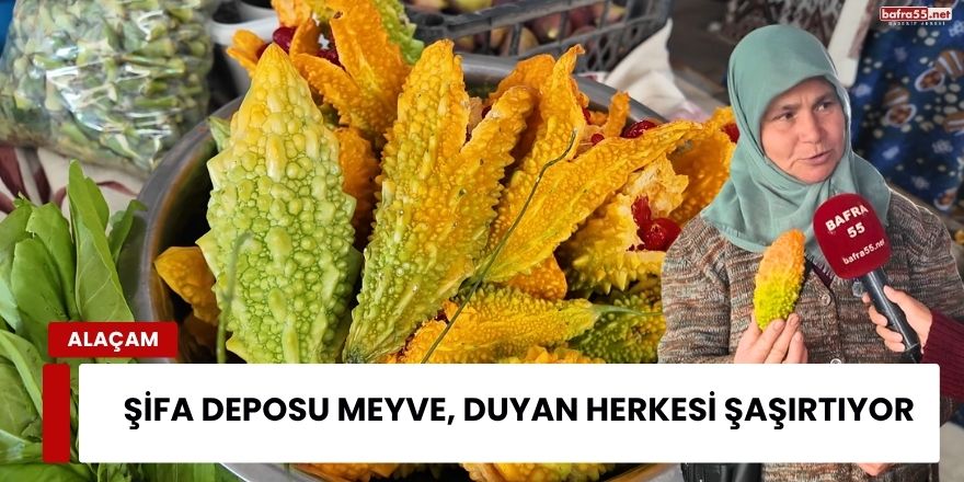 Şifa Deposu Meyve, Duyan Herkesi Şaşırtıyor
