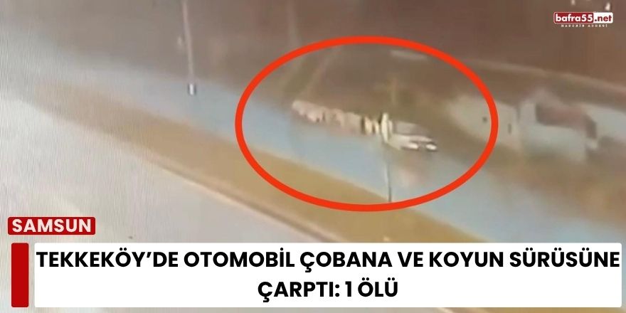 Tekkeköy’de Otomobil Çobana ve Koyun Sürüsüne Çarptı: 1 Ölü