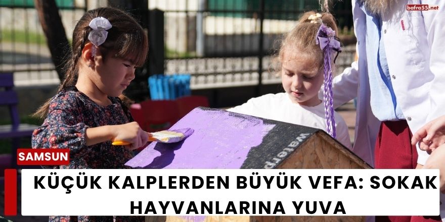 Küçük Kalplerden Büyük Vefa: Sokak Hayvanlarına Yuva