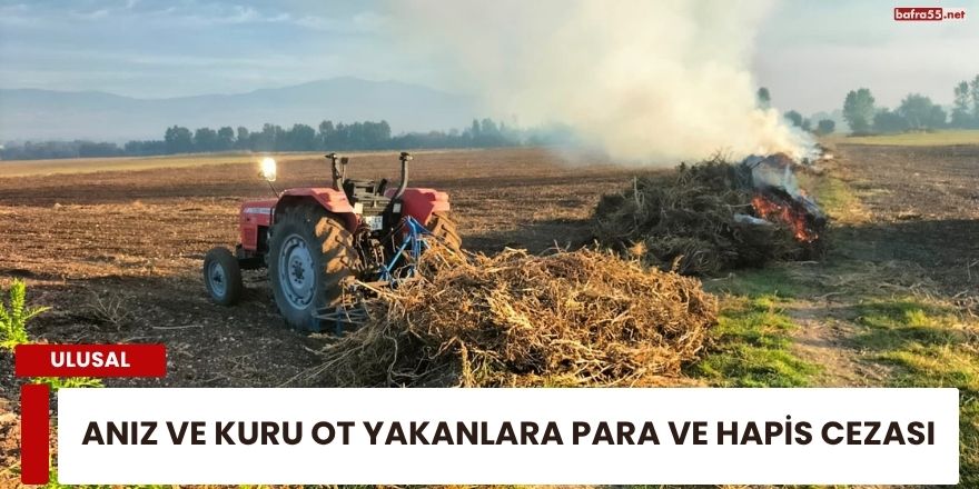 Anız ve Kuru Ot Yakanlara Para ve Hapis Cezası