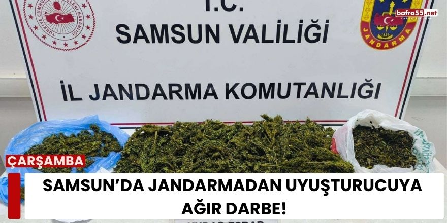 Samsun’da Jandarmadan Uyuşturucuya Ağır Darbe!