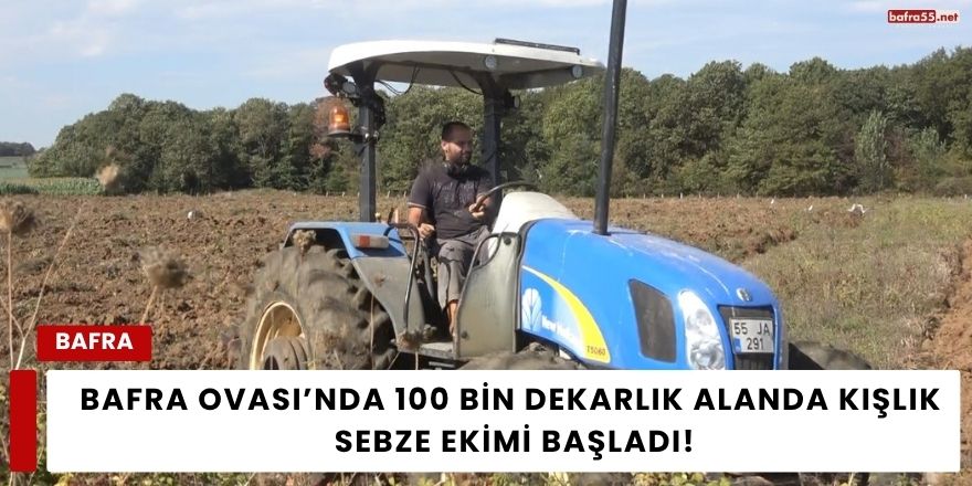 Bafra Ovası’nda 100 Bin Dekarlık Alanda Kışlık Sebze Ekimi Başladı