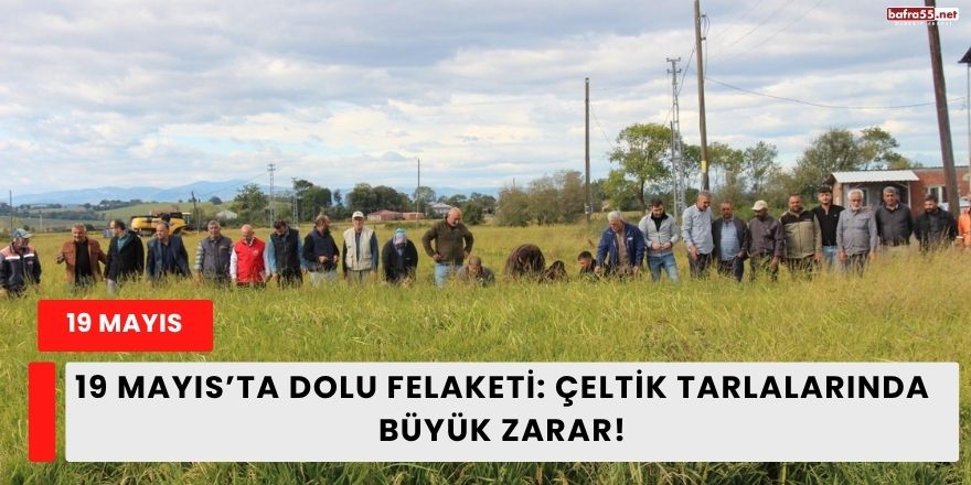19 Mayıs’ta Dolu Felaketi: Çeltik Tarlalarında Büyük Zarar