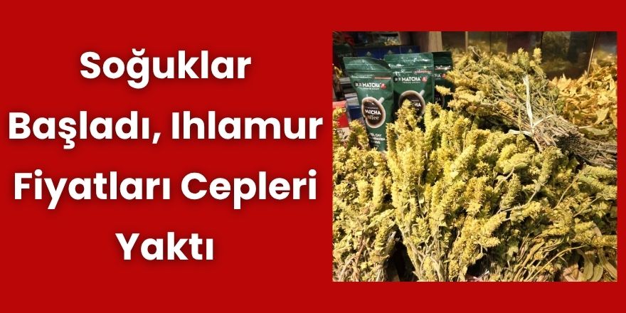 Soğuklar Başladı, Ihlamur Fiyatları Cepleri Yaktı