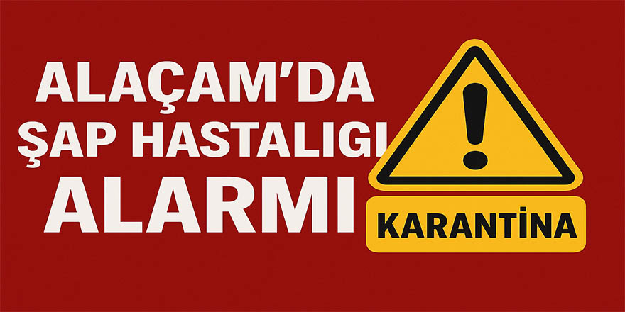 Alaçam’da Şap Hastalığı Alarmı
