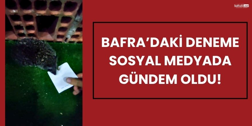 Bafra’daki Deneme Sosyal Medyada Gündem Oldu!