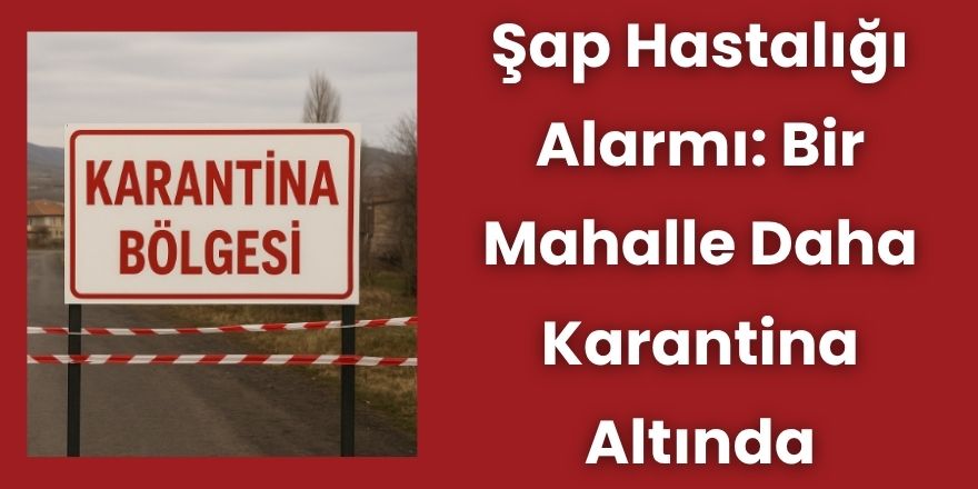Şap Hastalığı Alarmı: Bir Mahalle Daha Karantina Altında
