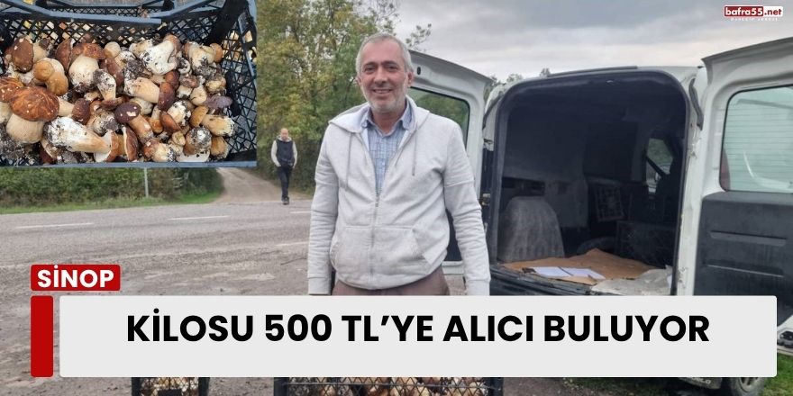 Kilosu 500 TL’ye Alıcı Buluyor
