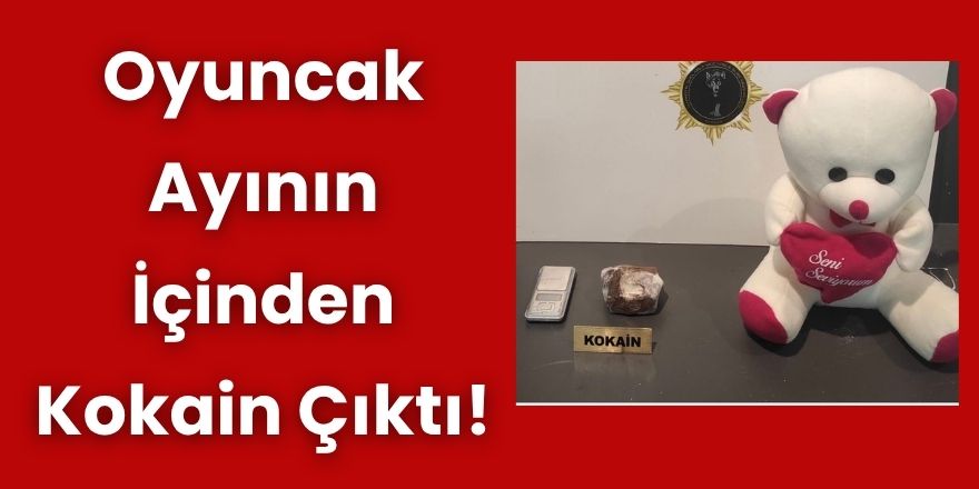 Oyuncak Ayının İçinden Kokain Çıktı!