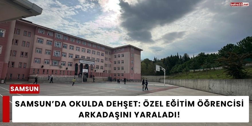Samsun’da Okulda Dehşet: Özel Eğitim Öğrencisi Arkadaşını Yaraladı!