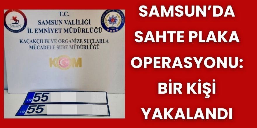 Samsun’da Sahte Plaka Operasyonu: Bir Kişi Yakalandı