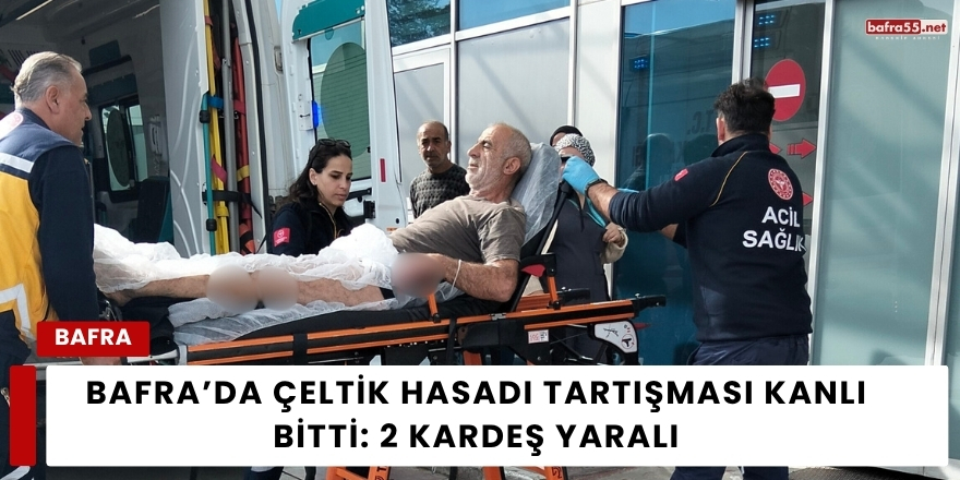Bafra’da Çeltik Hasadı Tartışması Kanlı Bitti: 2 Kardeş Yaralı