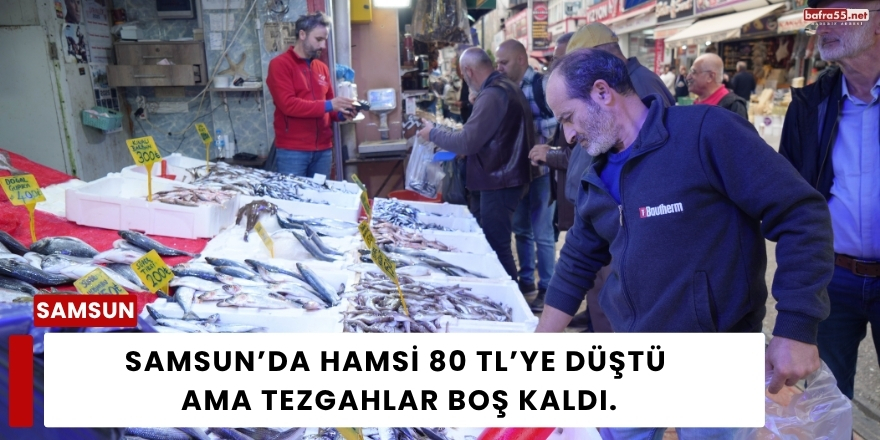 Samsun’da Hamsi 80 TL’ye Düştü Ama Tezgahlar Boş Kaldı.