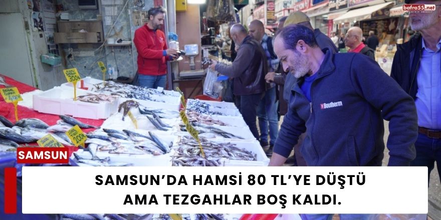 Samsun’da Hamsi 80 TL’ye Düştü Ama Tezgahlar Boş Kaldı.