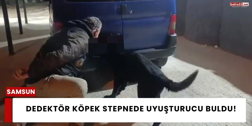Dedektör Köpek Stepnede Uyuşturucu Buldu!
