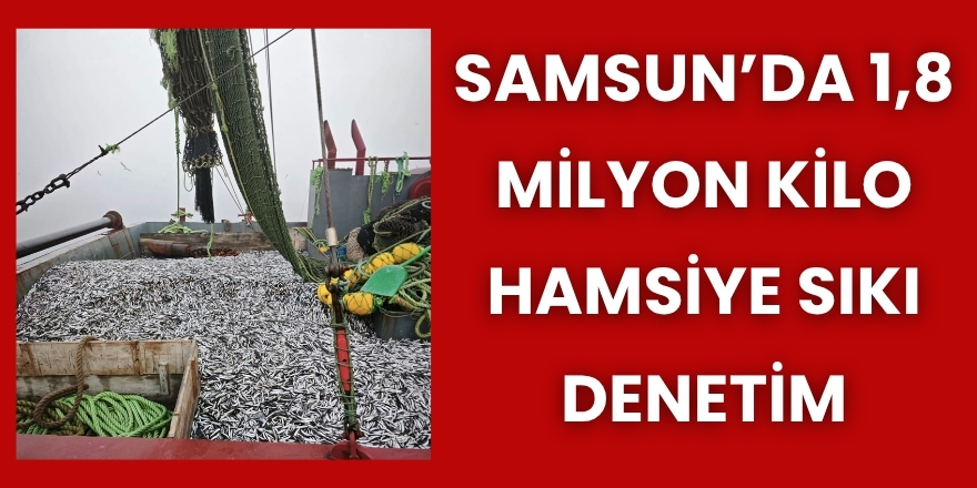 Samsun’da 1,8 Milyon Kilo Hamsiye Sıkı Denetim