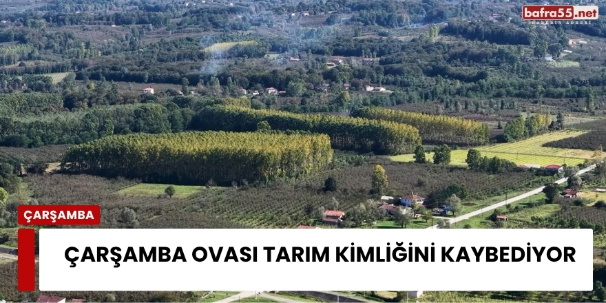 Çarşamba Ovası Tarım Kimliğini Kaybediyor