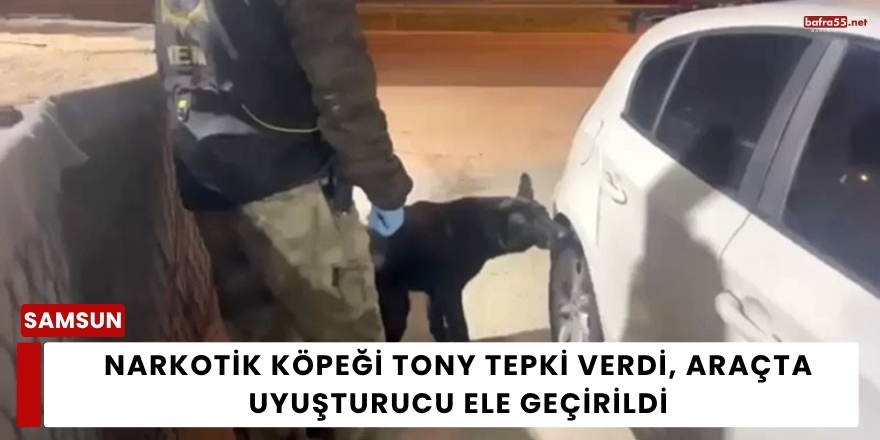 Narkotik Köpeği Tony Tepki Verdi, Araçta Uyuşturucu Ele Geçirildi