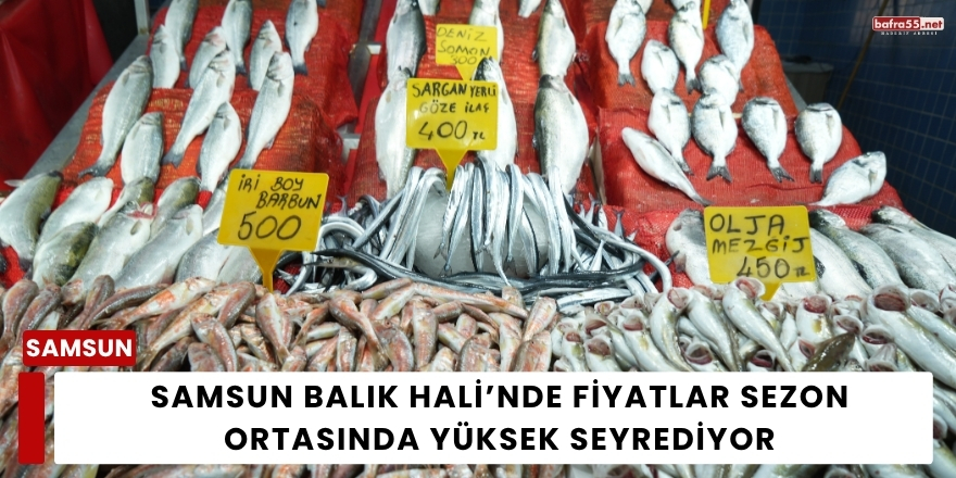 Samsun Balık Hali’nde Fiyatlar Sezon Ortasında Yüksek Seyrediyor