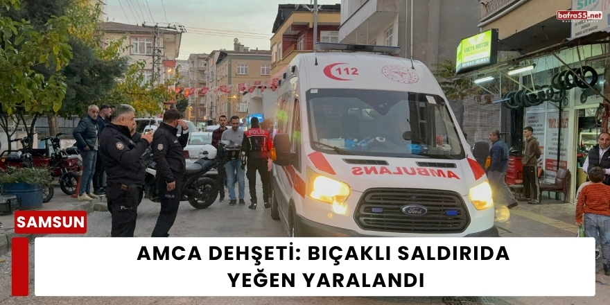 Amca Dehşeti: Bıçaklı Saldırıda Yeğen Yaralandı