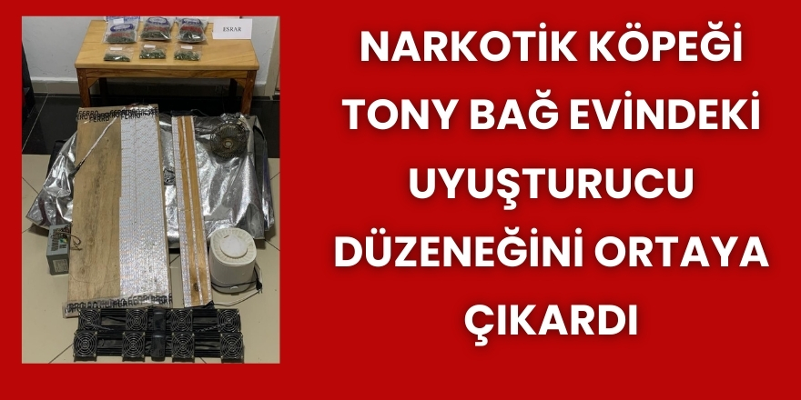 Narkotik Köpeği Tony Bağ Evindeki Uyuşturucu Düzeneğini Ortaya Çıkardı