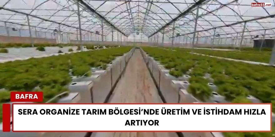 Sera Organize Tarım Bölgesi’nde Üretim ve İstihdam Hızla Artıyor