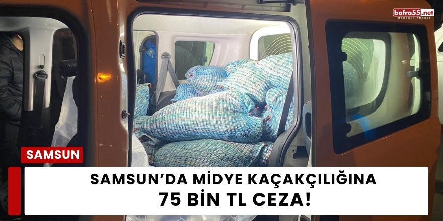 Samsun’da Midye Kaçakçılığına 75 Bin TL Ceza: